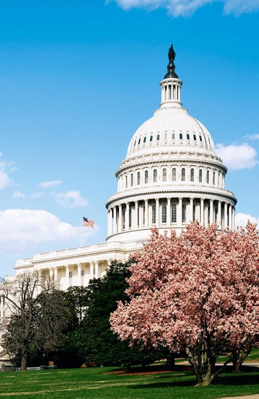 Fulbright Alumni Serve in Congress